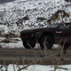 Rally Fighter Takes Flight